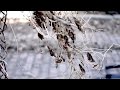 DSLR Tips: Film Narratives