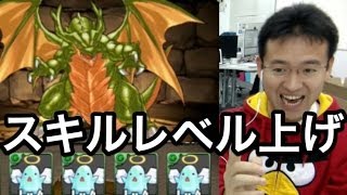 【パズドラ】34体合成スキルレベル上げ！【うまい】