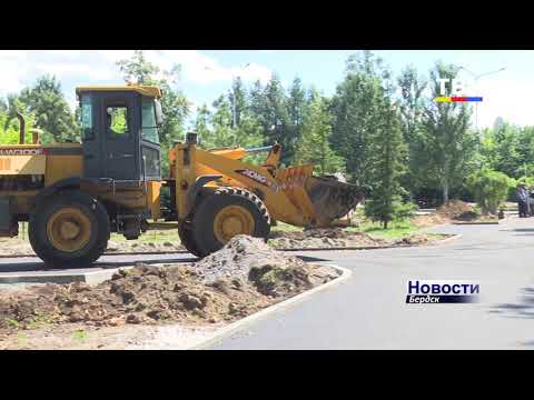 Осенью в городском парке Бердска планируют высадить 450 деревьев Осенью в городском парке Бердска планируют высадить 450 деревьев
