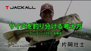 【JACKALL】サイズを釣り分ける考え方　～フリックシェイク9.8～　片岡壮士