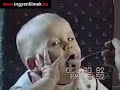 Best Funny Video Ever