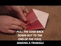2 - How To Make A Origami Turkey