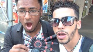 SPIDER SCARE PRANK!!