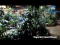 Best Western Coquitlam