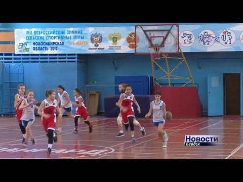 Новый баскетбольный сезон стартовал в Бердске Новый баскетбольный сезон стартовал в Бердске