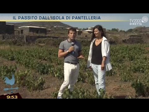 Il passito dall'isola di Pantelleria