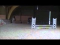 MOV10e