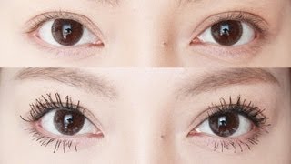 How To Make SMALL EYELASHES BIG!!!