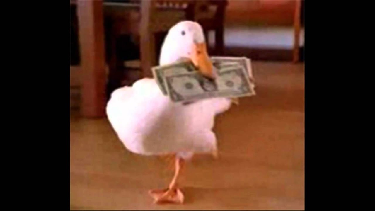 Aflac Duck Ads Video - YouTube