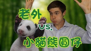 老外看台灣爆紅小貓熊圓仔 兩岸動物奇聞│圓仔成長精華篇│郝毅博