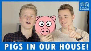 Pigs in our house! - MILKY MONDAY