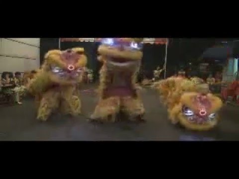 Lân Nhảy Gangnam Style | Clip Hài Online