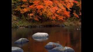 PACK PAISAJES NATURALES No.1