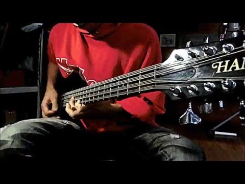 Hiroki Satow 12 String Bass 12 String Bass New York Groove