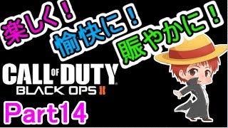 【実況】楽しく愉快に賑やかに【CoD:BO2】 part14【赤髪のとも】