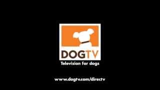 DOGTV Commercial - Been There Done That - Part 2