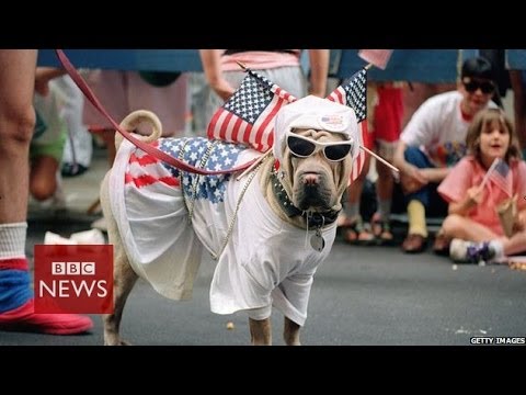 What do Americans really think about US on Independence Day