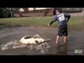 Gators Take Over Flooded Field | Gator Boys
