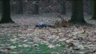 FG Monster 4WD brushless part 8