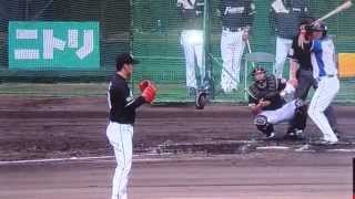 2014.02.08 斎藤佑樹VS中田翔 2737日ぶり対戦