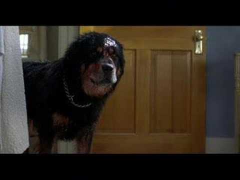 Mans best friend- picture