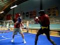 video XVI boxe gisors assaut dirige a theme Eric Antoine.AVI