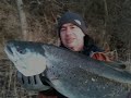 Seatrout flyfishing in Als at sunset