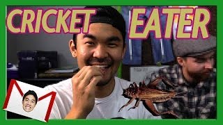 Cricket Eater! (Teehee Time)