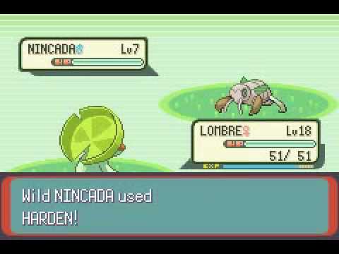 GameShark 5000 exp Codes (Pokemon Emerald) - YouTube