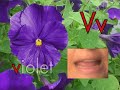 Learn ABC's with Nature - for babies, toddlers, infants & preschoolers