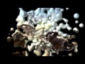 montage from RAZ3/ibro010 ( BO2 & MW2)