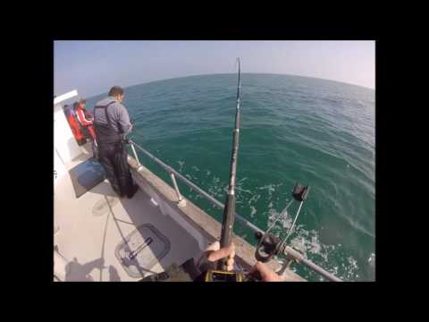 Wrecking Pollock with Paul Dyer on Brighton Diver 2