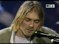 dumb nirvana
