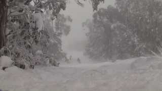 Falls Creek Snow Update 22nd July 2013 *NEW SNOW*