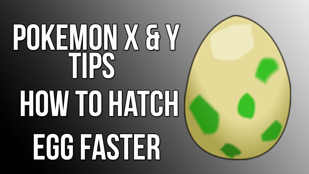 Pokemon X and Y Tips : How To Hatch Eggs Faster - YouTube