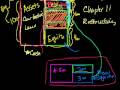 Chapter 11: Bankruptcy Restructuring