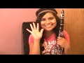 Just Give Me A Reason-Pink & Nate Ruess (Clarinet Cover)