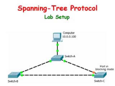 ccna network visualizer 6.0 full