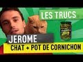 Jerome + Chat + Pot de cornichon