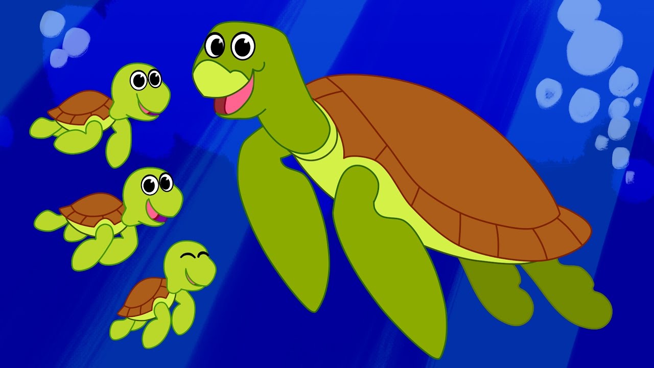 Tosha turtle cartoon picture.html.