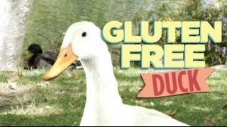 Gluten Free Duck