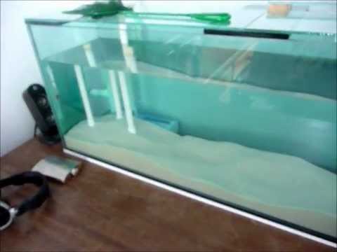 sump freshwater tank setup diy
