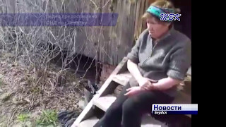 Пенсионерка чуть не сожгла два дачных общества в Бердске