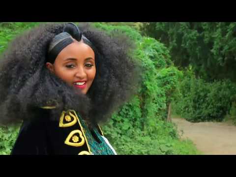 Download Ethiopian music : Haftom G/Michael - Welelaaton(ወለላኣተን) - Ethiopian Tigrigna Music (Official Video)