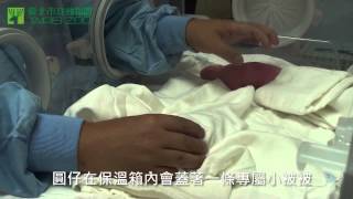 圓仔與平平安安 Panda baby in incubator