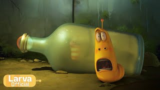 Larva Tuba - V zajetí 