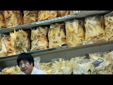SOME --- Progress, China Government pledges to stop serving shark fin soup