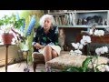 Jacqueline de Romilly, la vigie grecque