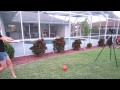 PUMPKIN SMASHING!! (11.29.12 - Day 1309)