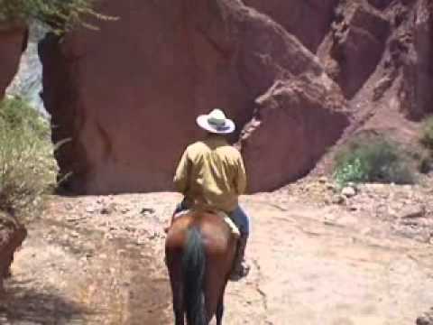 Bolivian Cowboy